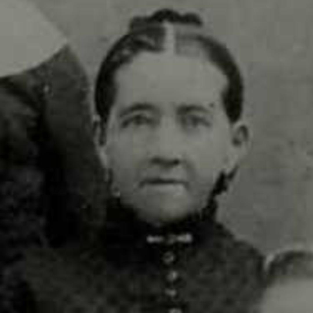 Agnes Williams (1840 - 1919) Profile